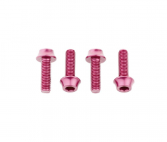 Wolf Tooth Aluminium Flaschenhalterschrauben Set - M5x15mm Zylinderkopf pink