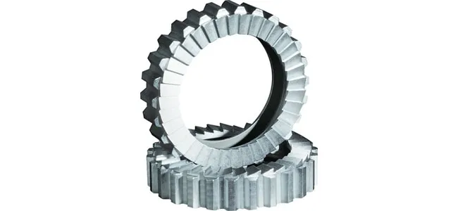 DT Swiss Zahnscheibenkit | Ratchet Star Superlight 54T mit Federn und Fett