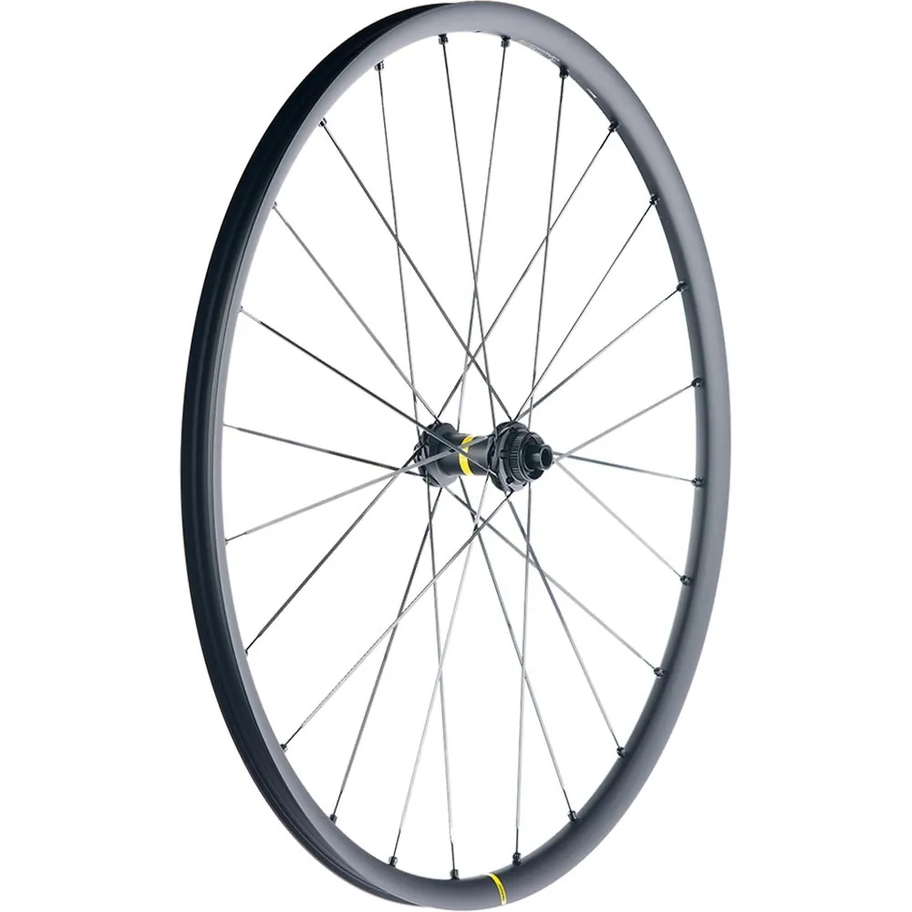 Mavic Allroad S UST Disc Centerlock | Ersatzspeiche Vorder- oder Hinterrad 298 mm incl Nippel