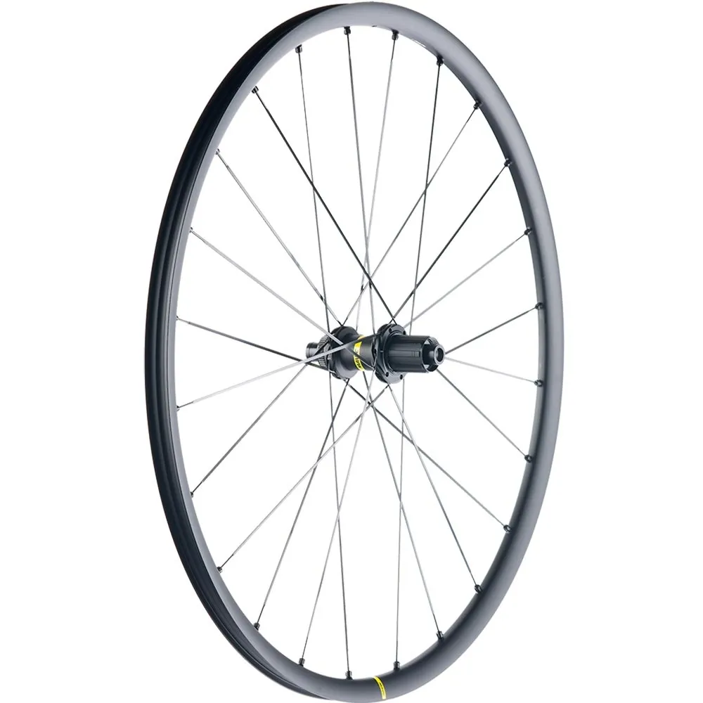 Mavic Allroad S UST Disc Centerlock | Ersatzspeiche Vorder- oder Hinterrad 298 mm incl Nippel
