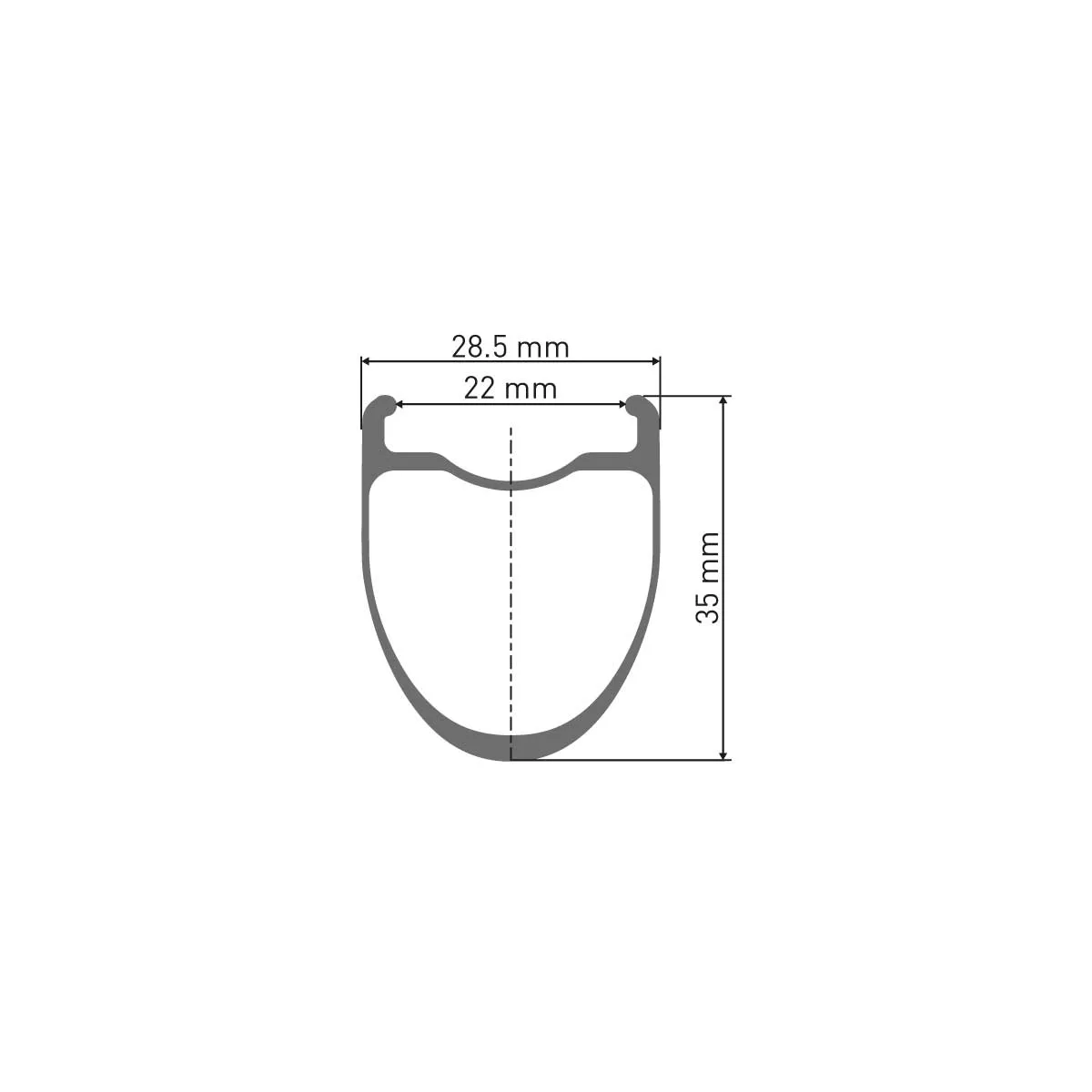 DT Swiss ERC 1100 Dicut DB 35 Vorderrad Disc CL 28 Zoll / 700C