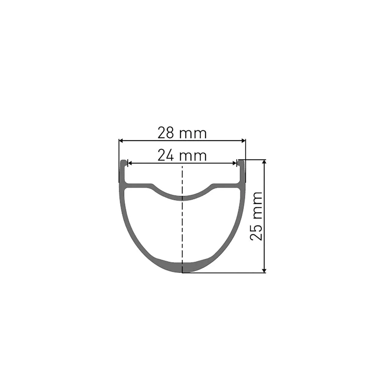 28 Zoll Gravel Hinterrad DT Swiss 350 Classic Disc Nabe + DT Swiss G 540 Felge Disc | build by TNC