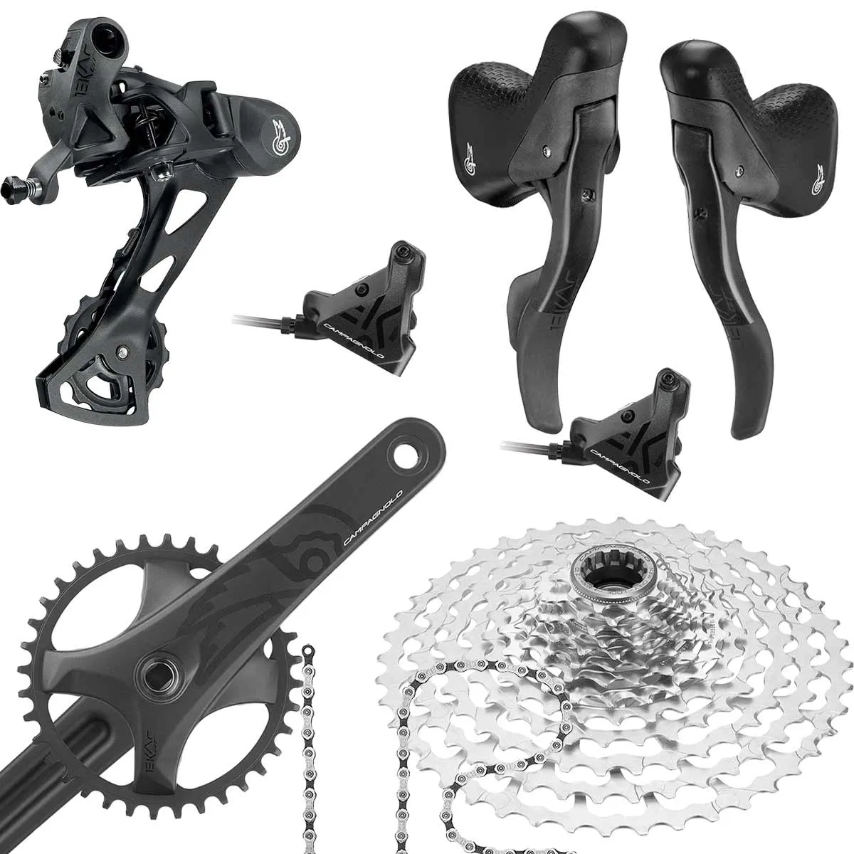 Campagnolo Ekar GT Gruppe 13x1-fach Disc Flat Mount komplett