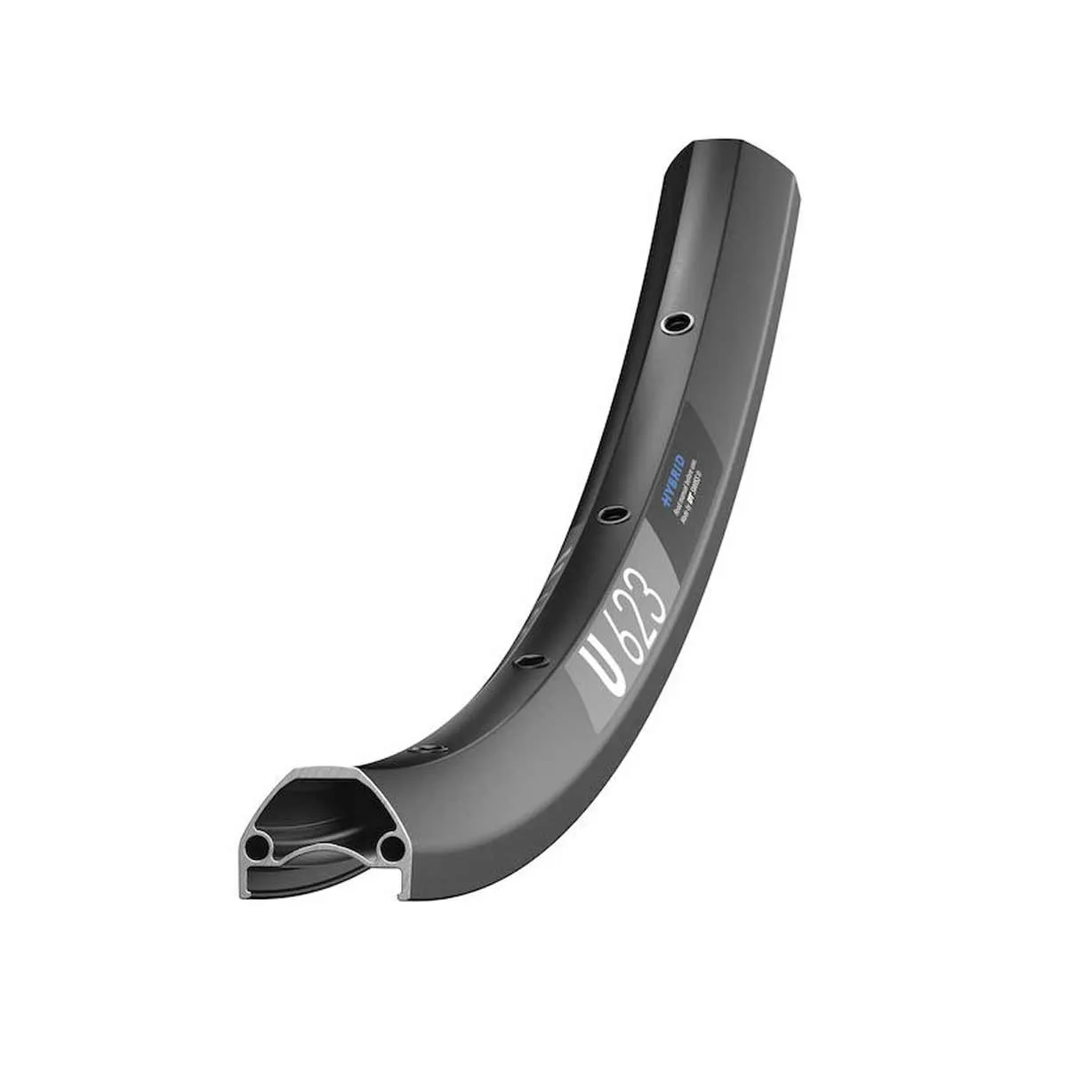 28/29 Zoll E-Bike Hinterrad DT Swiss 350 Hybrid Boost Nabe Disc 6 Loch + DT Swiss U 623 Felge | build by TNC