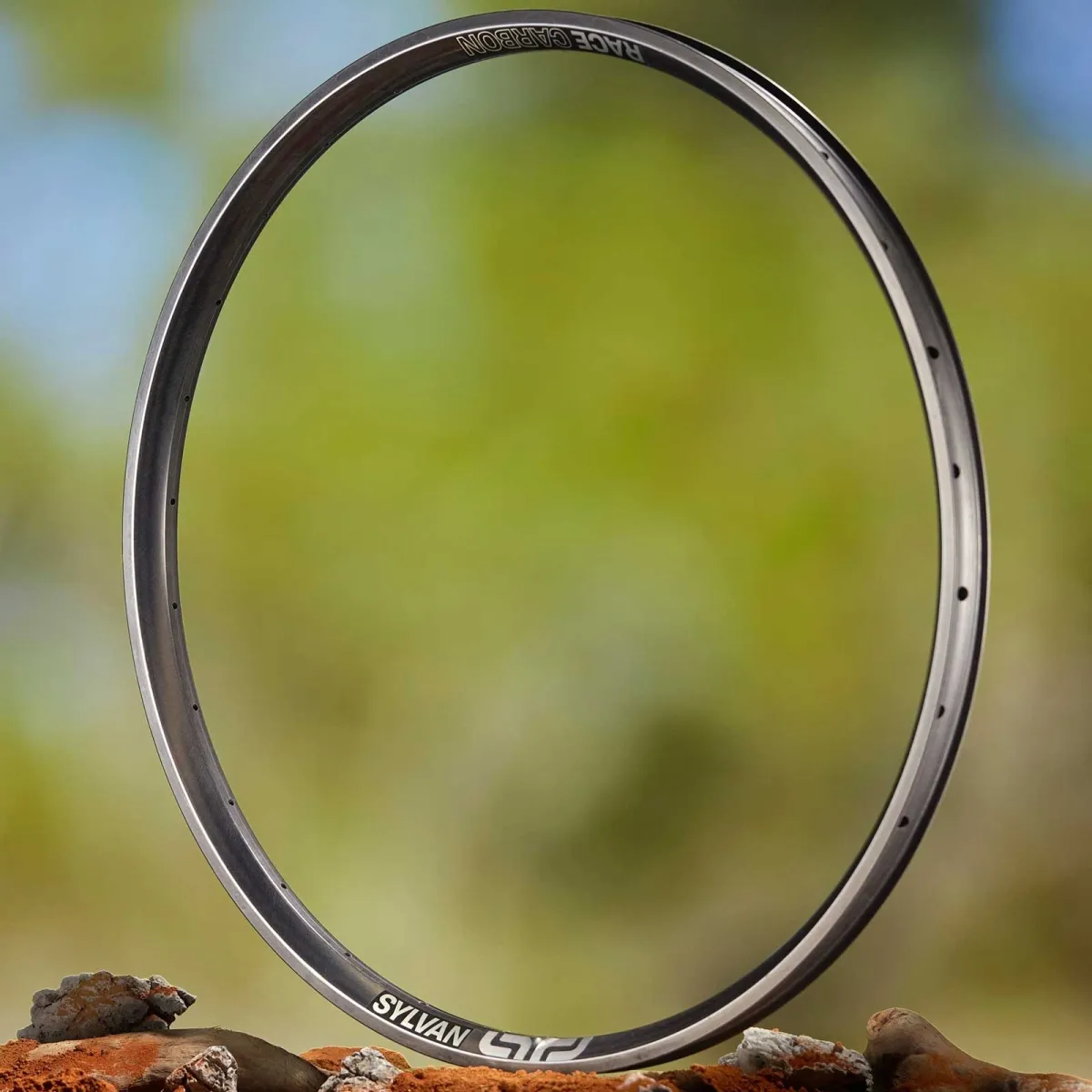 e*thirteen Sylvan Race Carbon AM Felge | Disc MTB 29 Zoll 28 Loch