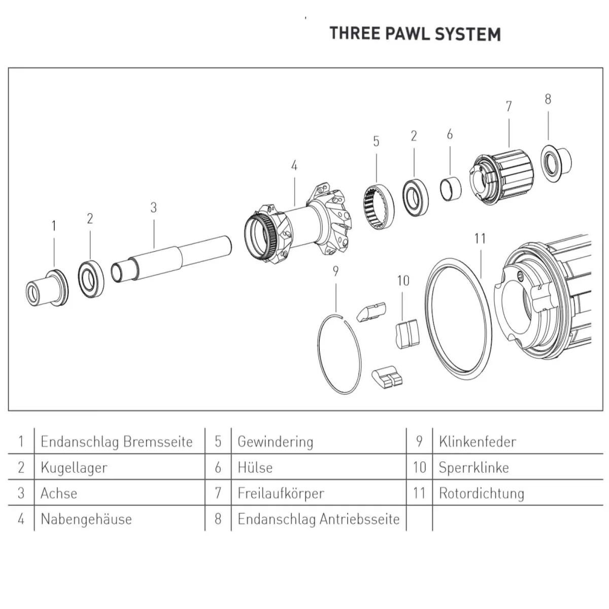 DT Swiss 3-Klinken/Pawl Road Freilaufkörper-Kit | Campagnolo ED + Endanschlag rechts X12x142mm