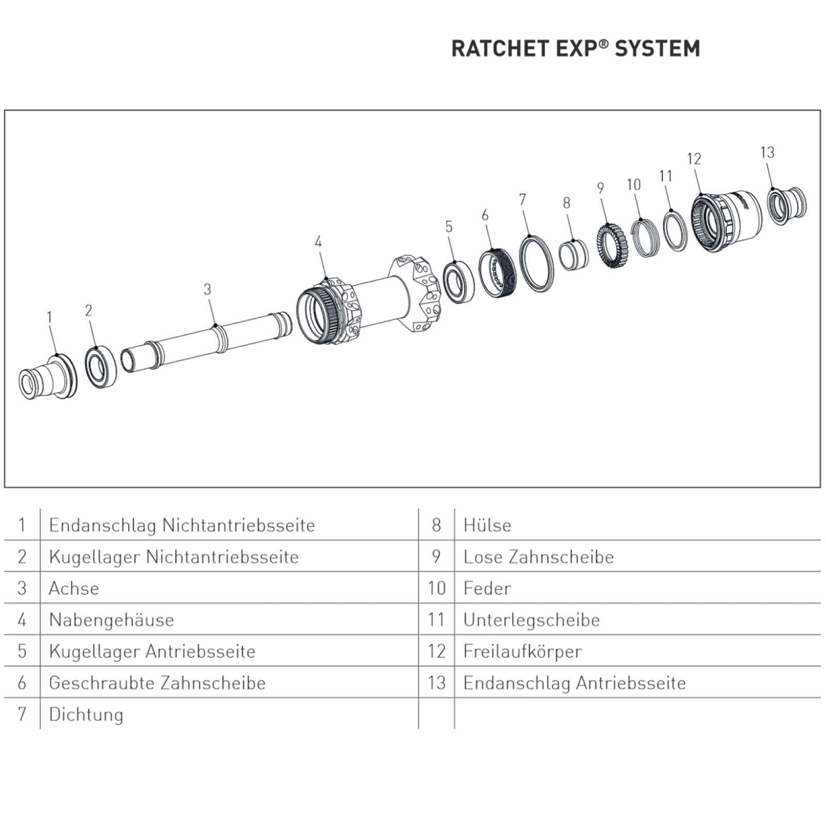 DT Swiss Ratchet EXP Road Freilaufkörper-Kit | Alu Shimano Micro Spline + Endanschlag rechts 12x142/148 mm