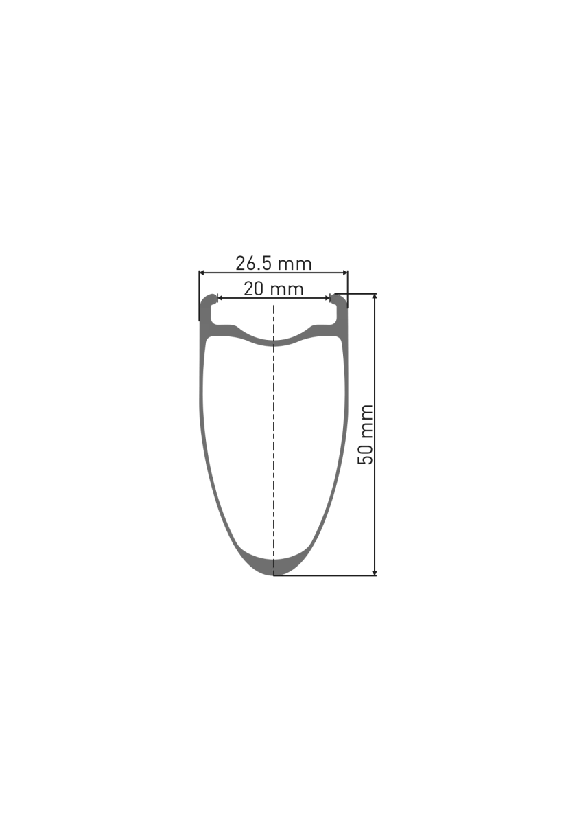 DT Swiss ARC 1100 Dicut DB 50 WTS Hinterrad Disc CL 28 Zoll / 700C