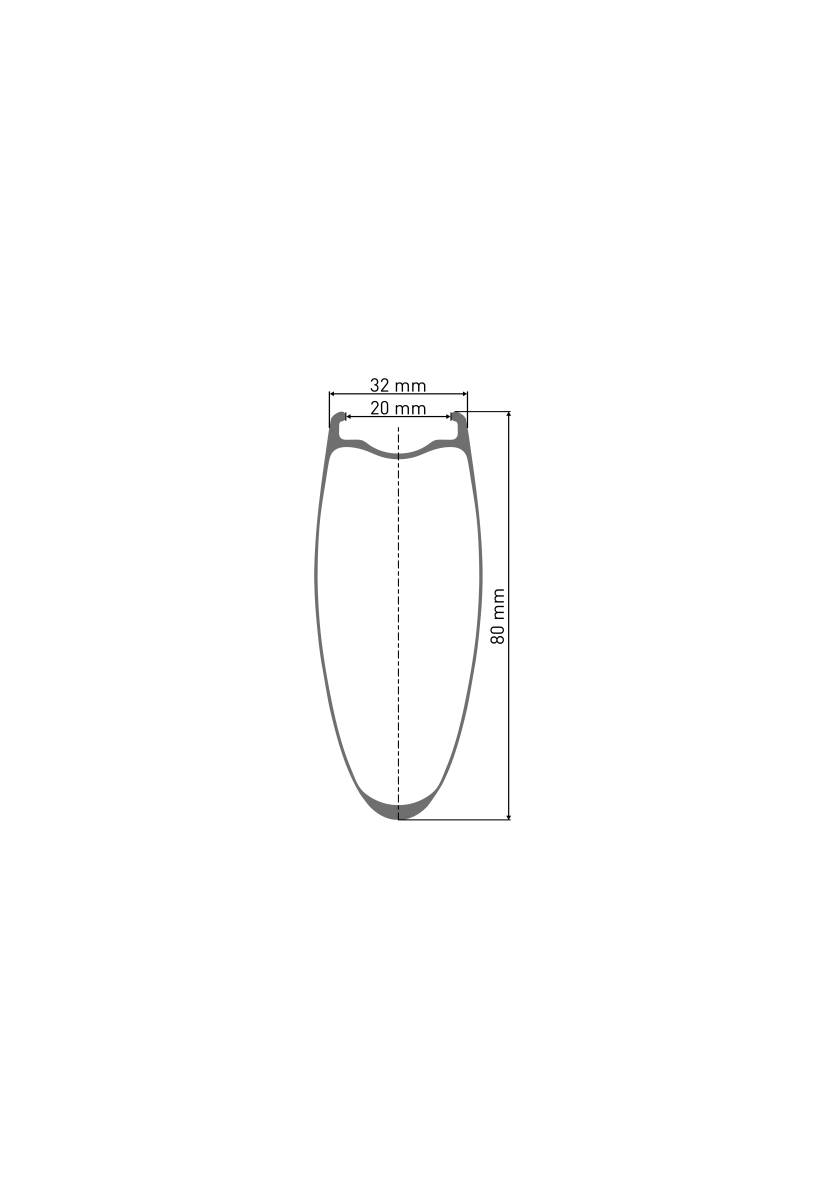 DT Swiss ARC 1100 Dicut DB 80 Hinterrad Disc CL 28 Zoll / 700C