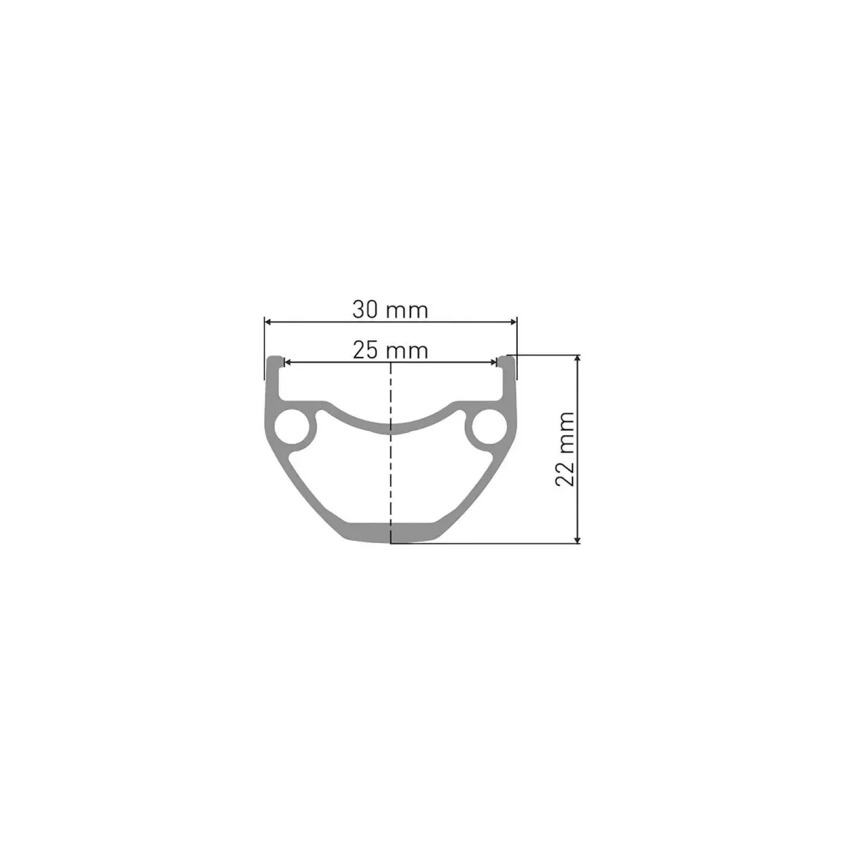28/29 Zoll E-Bike Laufradsatz DT Swiss 350 Hybrid Naben Disc 6 Loch + DT Swiss U 623 Felgen | build by TNC