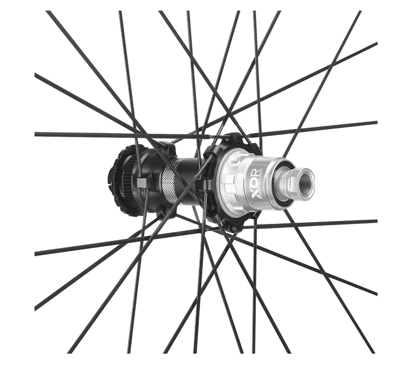 Fulcrum Sharq GR Laufradsatz 28 Zoll | Disc Centerlock Rotor Micro Spline