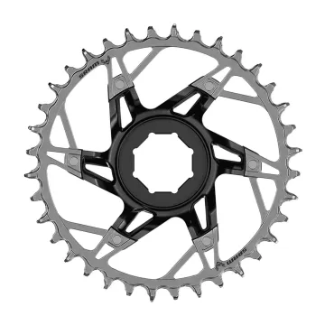 Sram XX Eagle Transmission E-MTB Kettenblatt | Direct Mount Brose Dircet T-Type 36 Zähnen