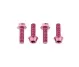 Wolf Tooth Aluminium Flaschenhalterschrauben Set - M5x15mm Zylinderkopf pink
