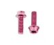 Wolf Tooth Aluminium Flaschenhalterschrauben Set - M5x15mm Zylinderkopf pink