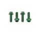 Wolf Tooth Aluminium Flaschenhalterschrauben Set - M5x15mm Zylinderkopf grün - Restbestand
