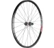 29 Zoll MTB Hinterrad DT Swiss 240 EXP Straightpull Naben + DT Swiss XM Felgen | build by TNC