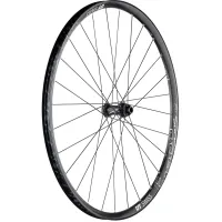 DT Swiss E 1900 Spline 25 Vorderrad 29 Zoll Disc Centerlock - Restbestand