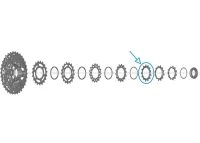 Shimano 105/GRX CS-HG710 Kassette 12-fach Ersatzteil | Ritzel 13 Zähne Nr.5